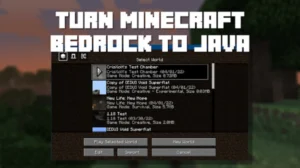 Minecraft: Java Edition 1